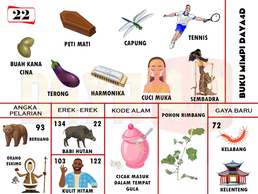 buku mimpi erek erek togel 22